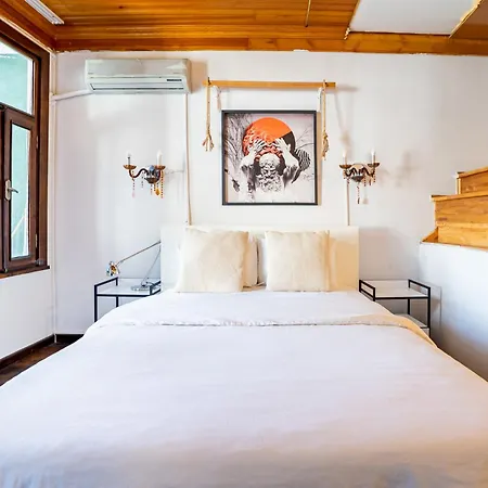 Historic Luetfi Pasha House In Balat 2br